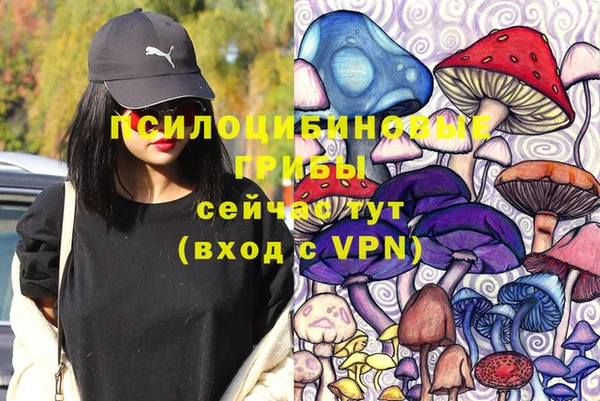 эйфоретик Аркадак