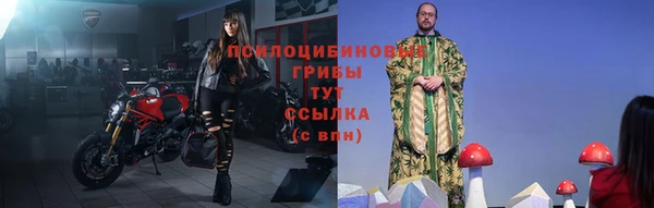 эйфоретик Аркадак