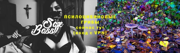 эйфоретик Аркадак