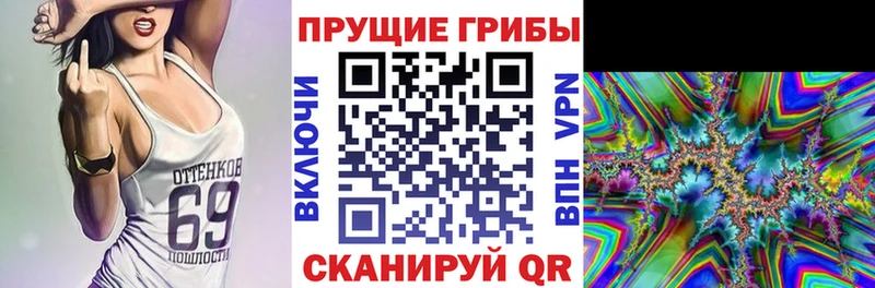 наркотики  Снежинск  kraken зеркало  Галлюциногенные грибы Magic Shrooms 